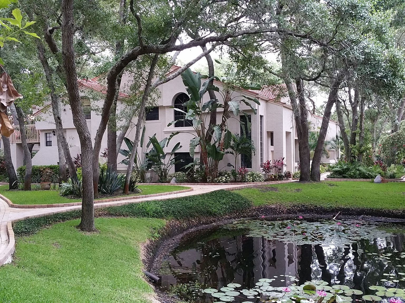 221 Los Prados Dr, Safety Harbor, FL 34695 Zillow