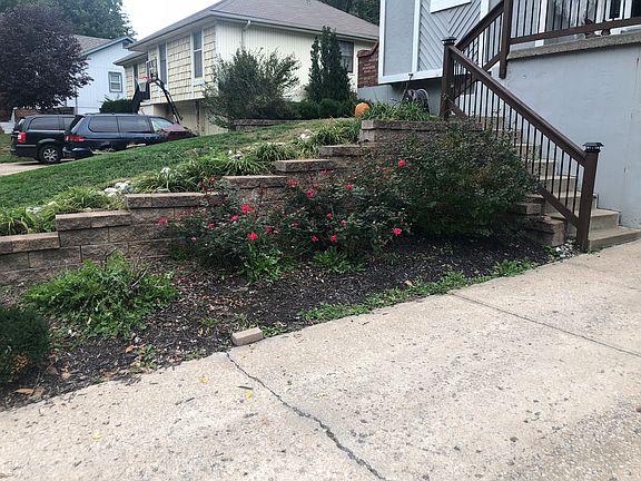 Professional Landscaping