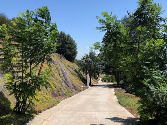 More of the driveway.