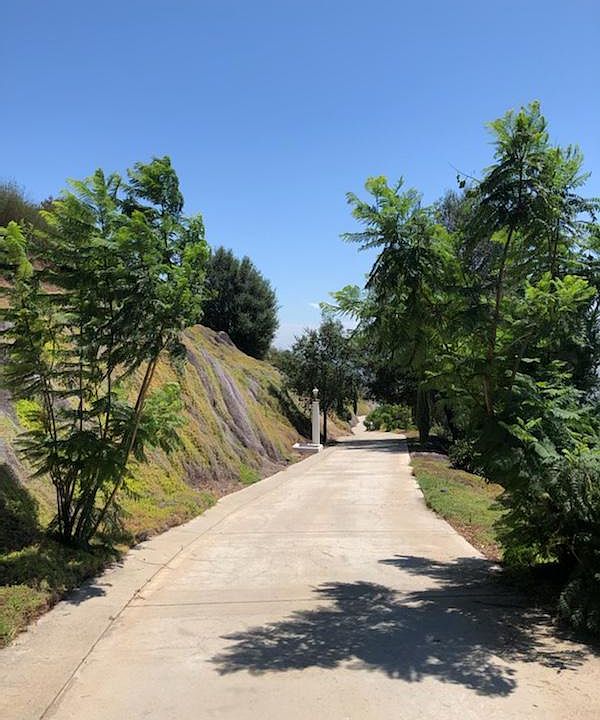 More of the driveway.