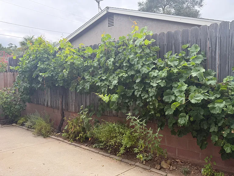851 Romano Dr — Photo 10