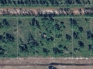 115 El Dorado Dr LOT 17, Indian Lake Estates, FL 33855