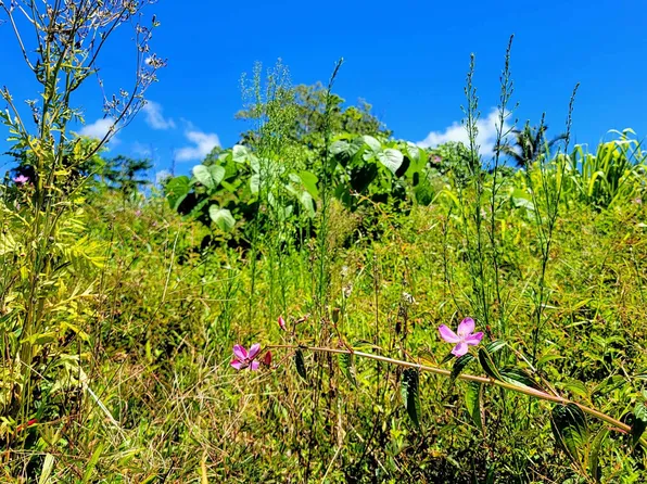 15-2794 Mano St Lot 1178, Pahoa, HI 96778