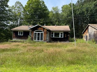 132 Fino Hl, Hancock, NY 13783