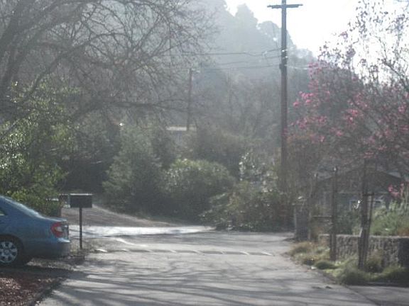 3rd image of 38 Winfield Ln