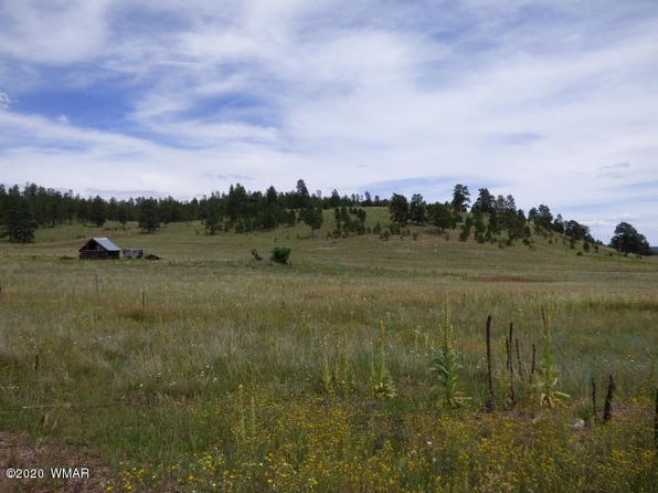 LOT-34A The Rnch #AT, Alpine, AZ 85920
