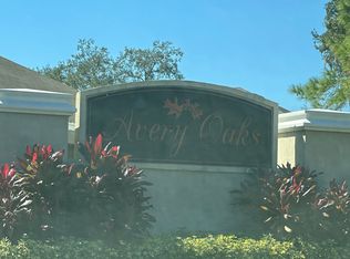 11209 Avery Oaks Dr, Tampa, FL 33625