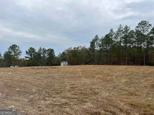 253 Treadwell Ln, Mauk, GA 31058