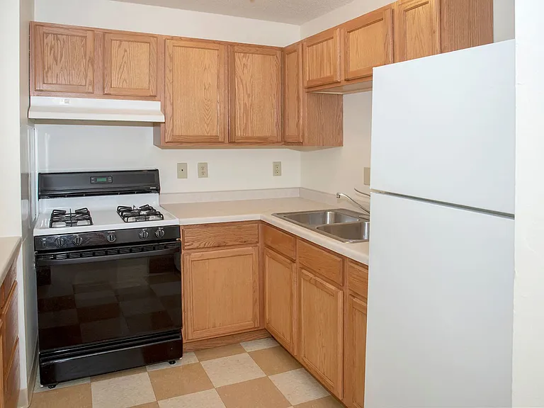 Oak Cabinets & Gas Stove