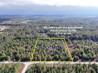 Vacant Ne River Trace Trl, Lee, FL 32059