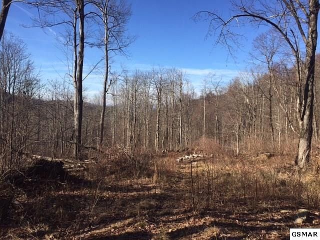 1st image of 36 Round Mountain Rd