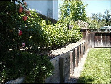 Nine vines in backyard.