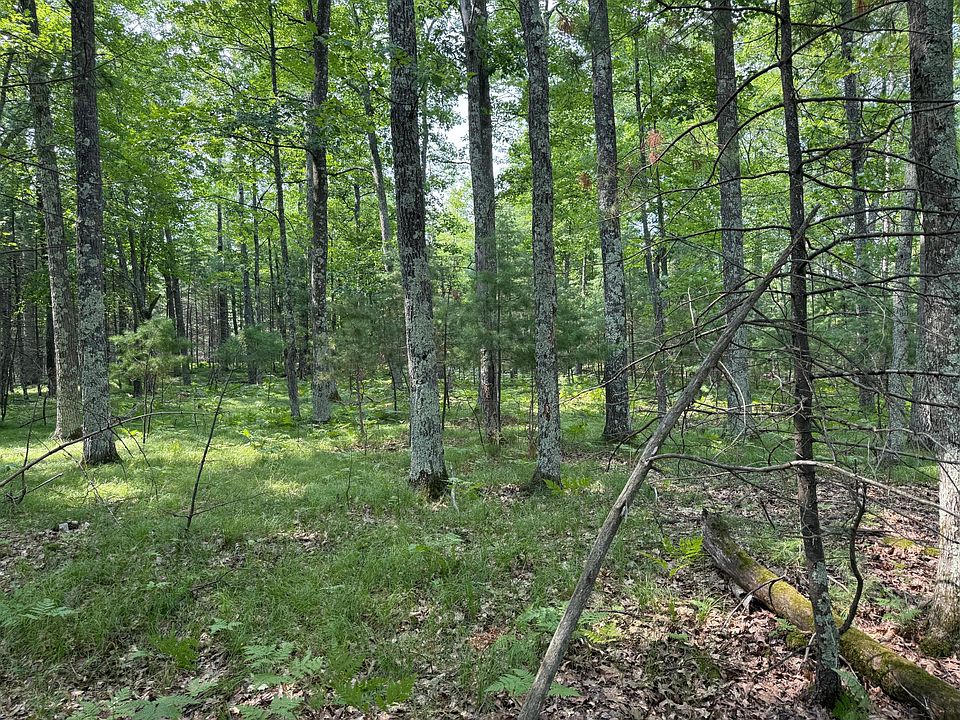 2nd image of LOT 1 Pine Shore Ln