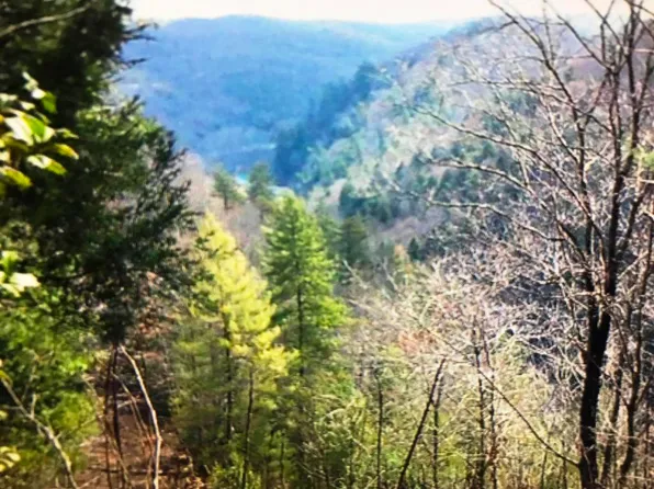 Catoosa Rd, Wartburg, TN 37887