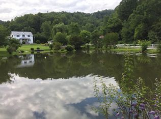 1147 Bee Tree Rd, Marshall, NC 28753