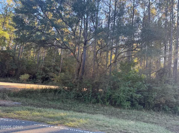 0 County Road 160, Bonifay, FL 32425