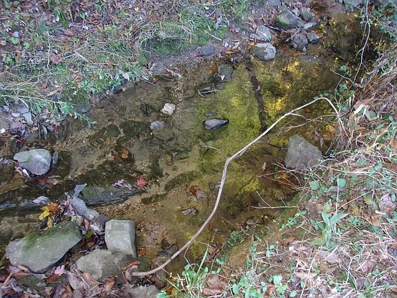2nd image of 0 Oldham Creek Rd