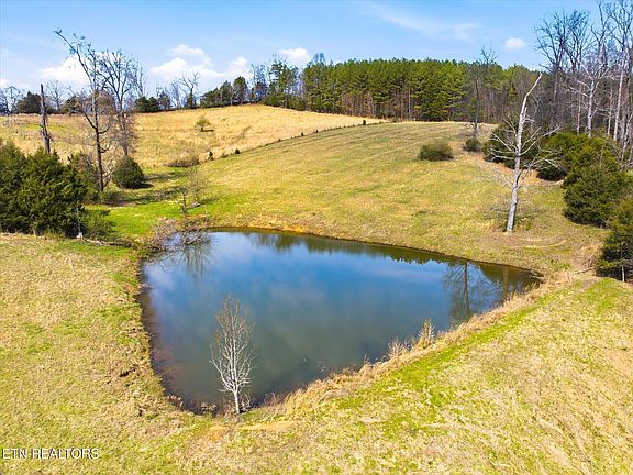 36th image of this home