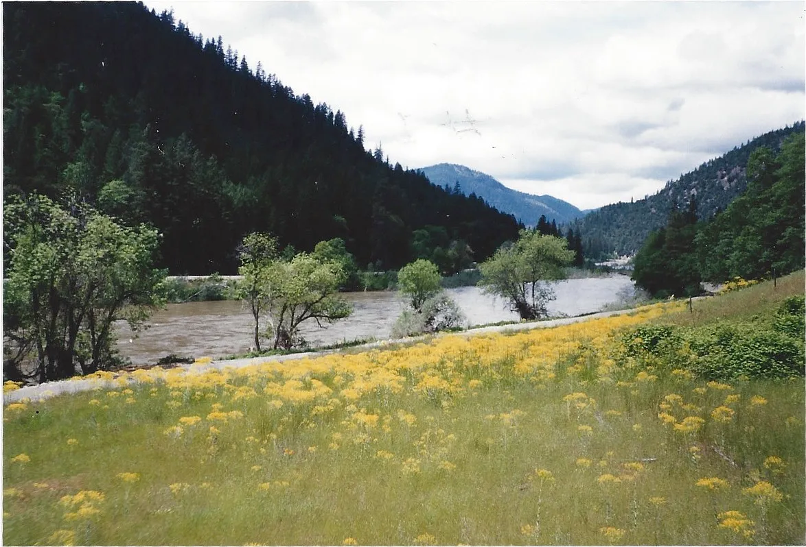 Ladd Rd photo 1