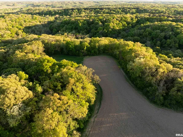 0 E Chambers Rd, Smithfield, IL 61477