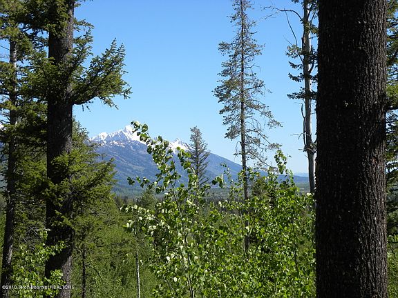 4th image of 5990 Salmonfly Dr