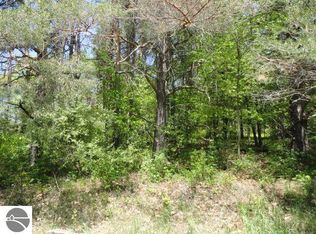 1053 El Camino Grande Dr, Lake Isabella, MI 48893
