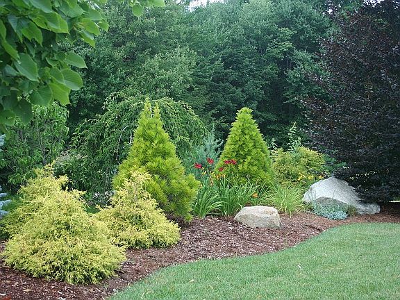 Professional landscaping