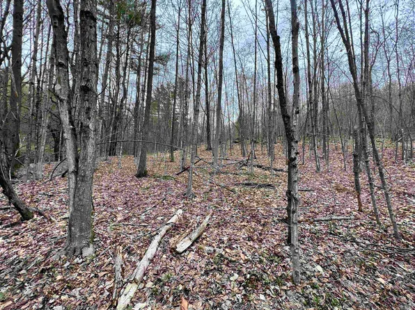 11 Blanchard Road, Strafford, VT 05072