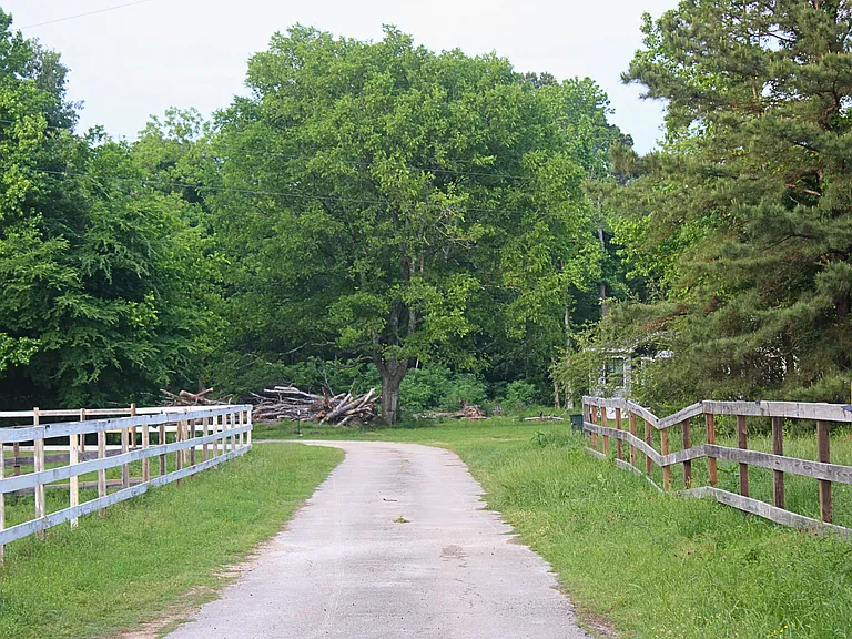 2850 County Road 233D — Photo 23