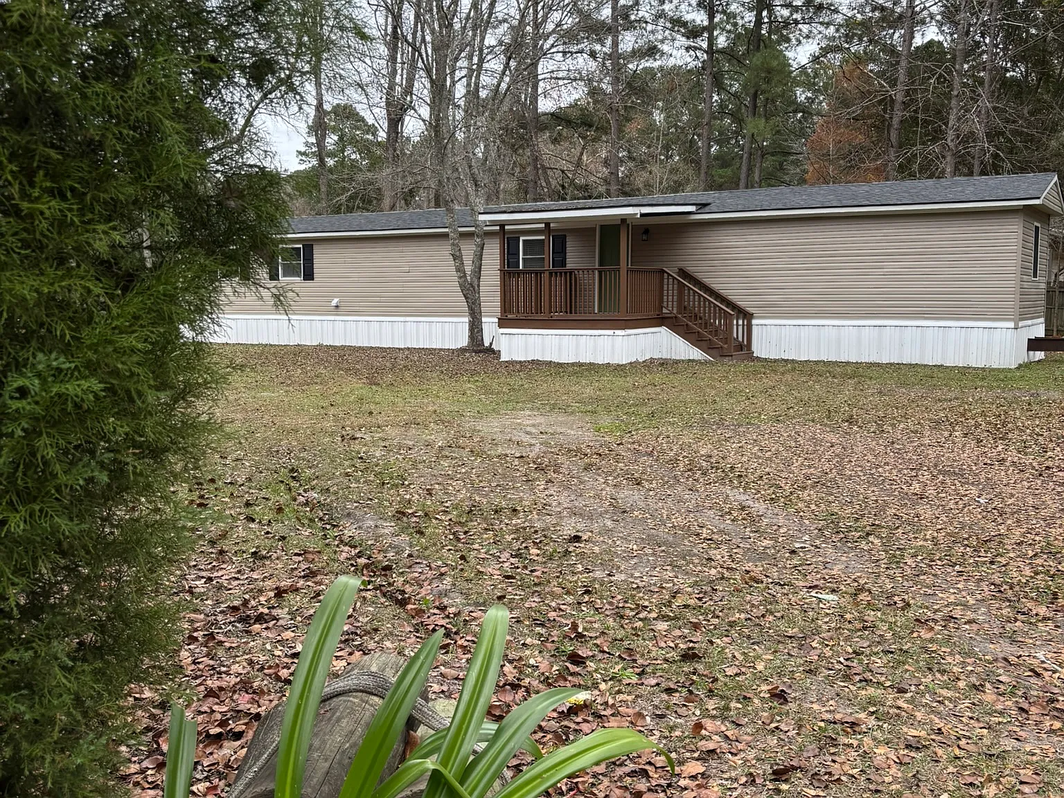 3 bed, 980 sqft, $1,800 — Photo 2