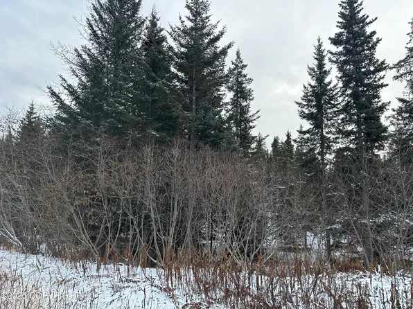 0 Old Sterling Hwy, Anchor Pt, AK 99556