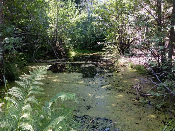 2424 Quinns Meadow Rd, Colville, WA 99114