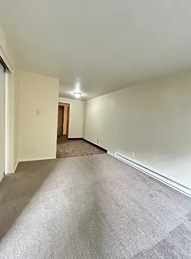 1 bed, 550 sqft, $1,325 — Photo 1
