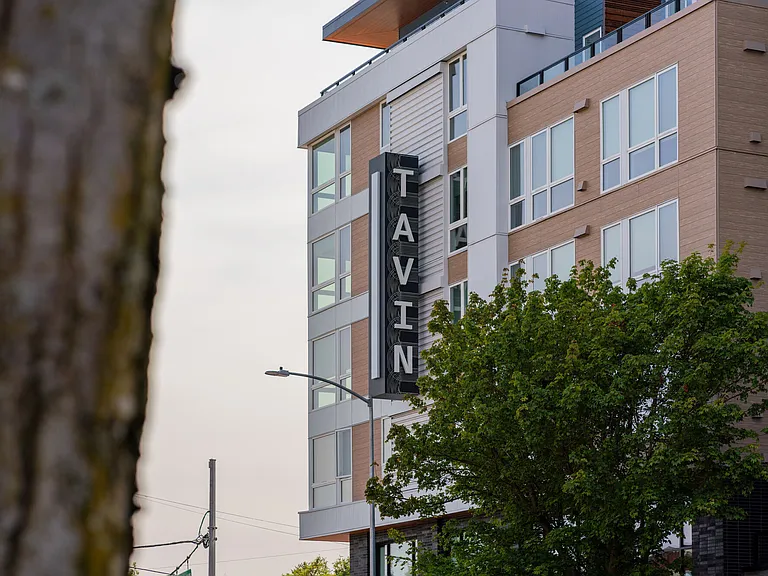 Tavin — Photo 24