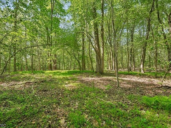 2nd image of 0 Homestead Rd