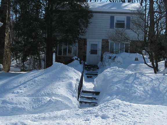 Blizzard 2010