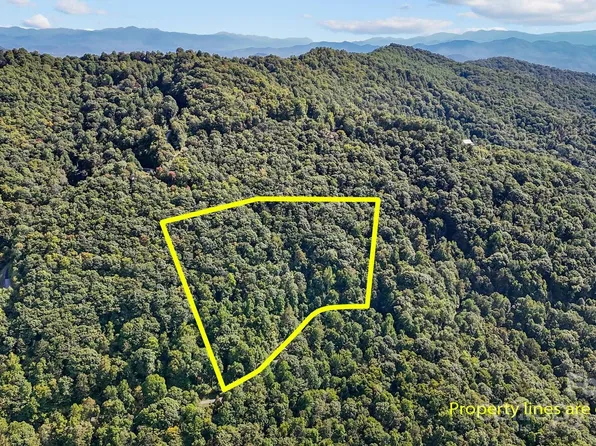 0 Brush Creek Mountain Rd #41, Bryson City, NC 28713