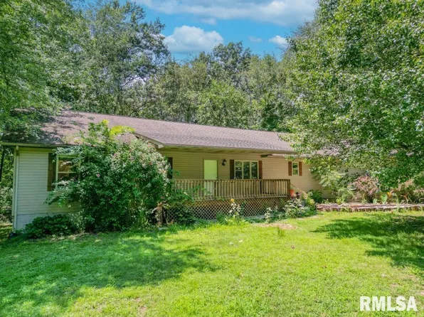 19186 Braggs Ln, West Frankfort, IL 62896