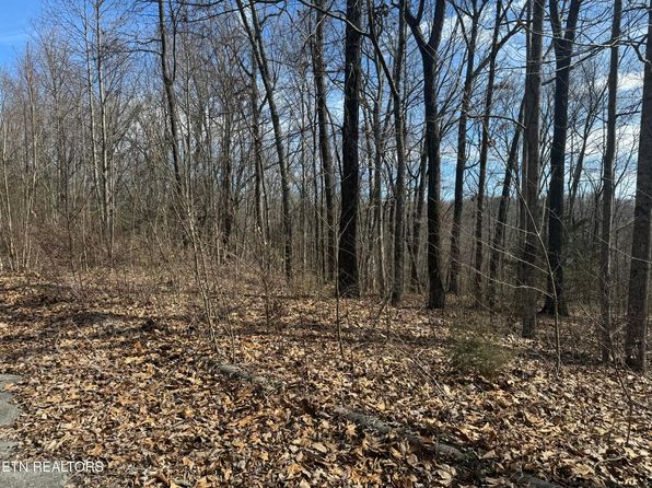 975 County Road 316 LOT 178, Niota, TN 37826