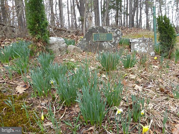 2nd image of LOT 13 Fawn Dr