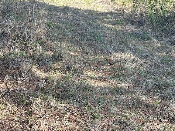 5th image of 521 W Deer Rd