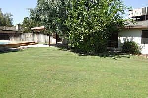 Huge Yard