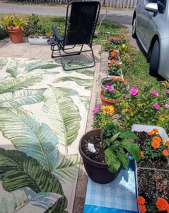 Garden area