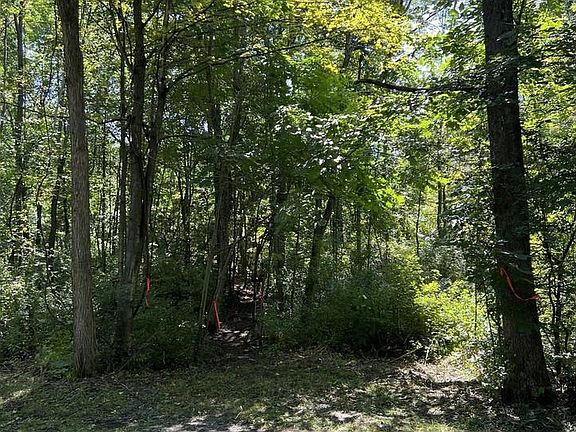 5th image of 0 Hemenway Road