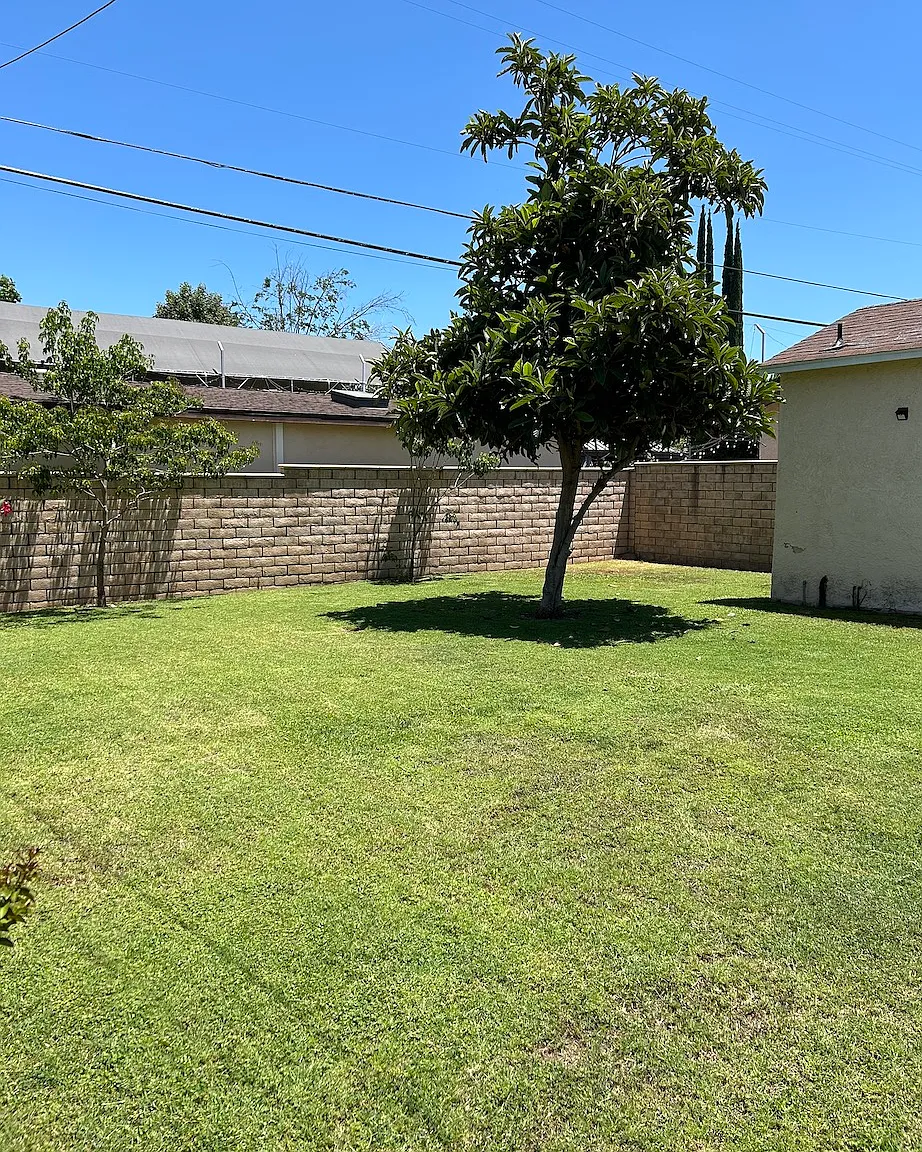 3 bed, 1680 sqft, $4,685 — Photo 4