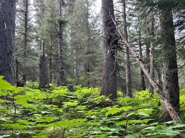 L11-B11 Nutbeem Rd, Seldovia, AK 99663