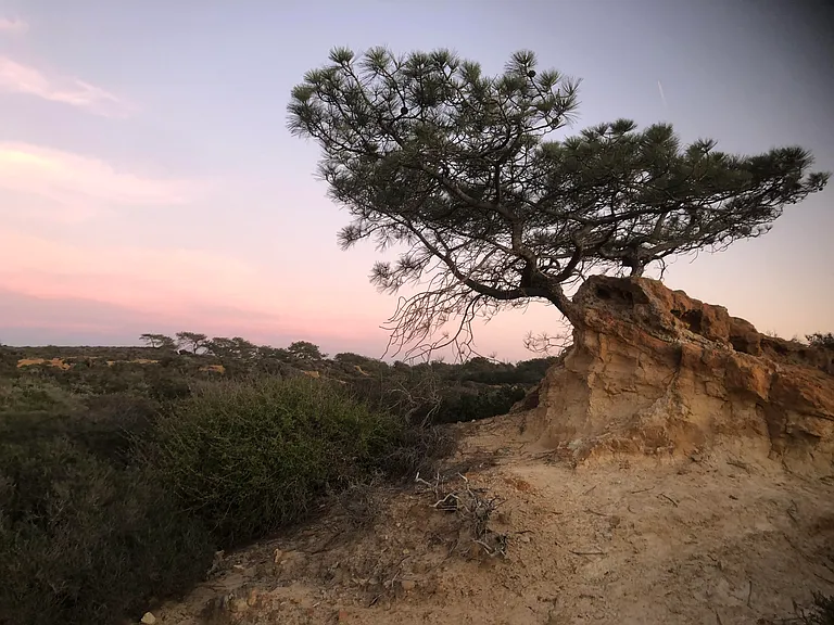 Yucca Point Trail, one of eight trails varying in length and difficulty.