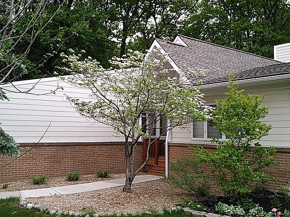 Spring at 34003 Hillside Ct. Blooming dogwood tree by front entry.