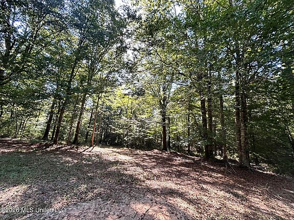 5th image of Dickey Mills Rd