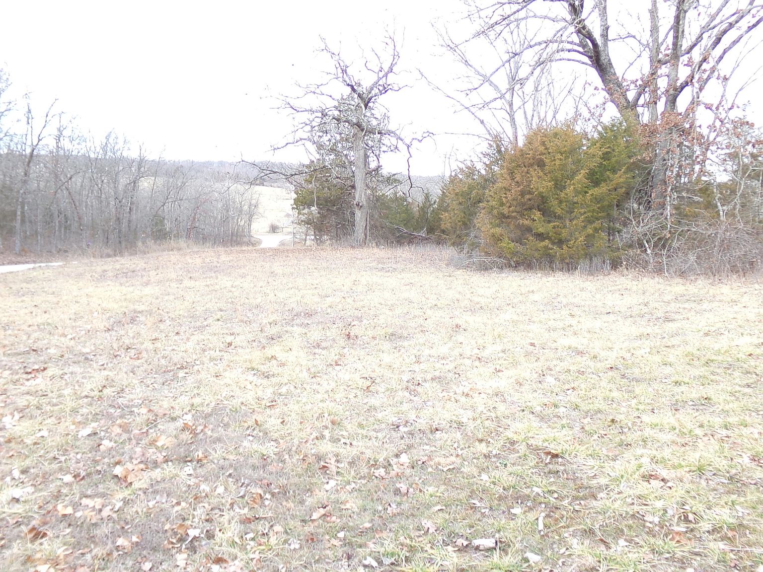 000 Wayside Trail, Elkland, MO 65644 MLS 60260725 Zillow